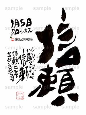 Birthday Flower Language January 5(1月5日 )